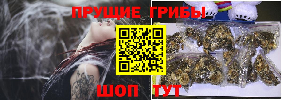 Галлюциногенные грибы MAGIC MUSHROOMS Междуреченск