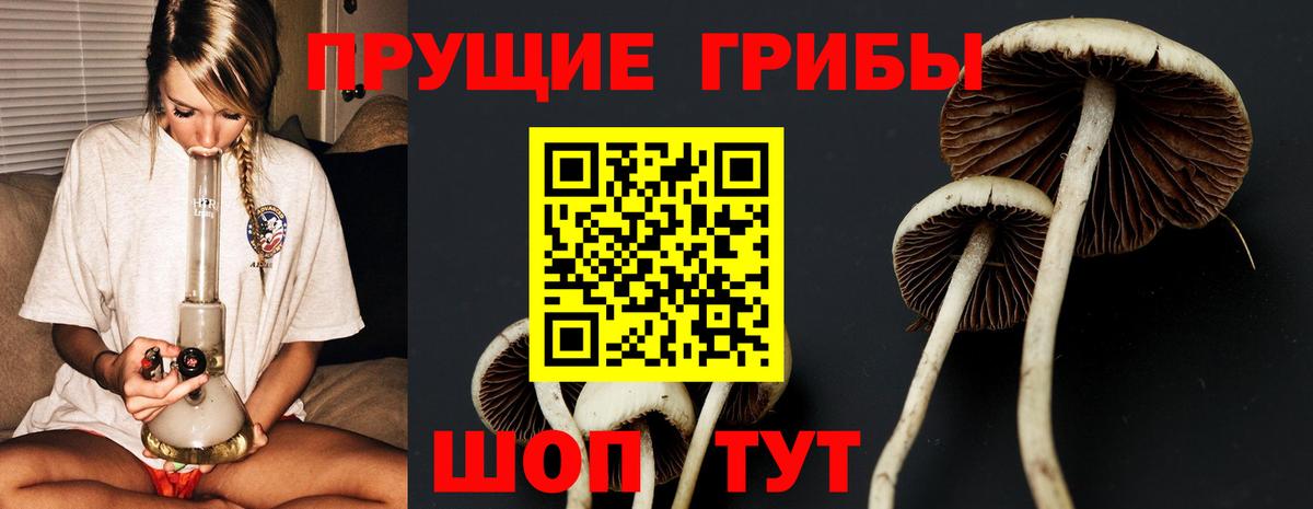 Галлюциногенные грибы прущие грибы  Псилоцибиновые грибы ЛСД  Вход с VPN  Междуреченск 